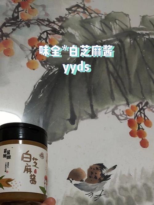 酿酿酱酱,口感丰富的美味酱料