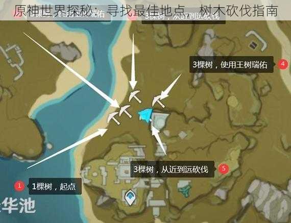 原神世界探秘:寻找最佳地点,树木砍伐指南