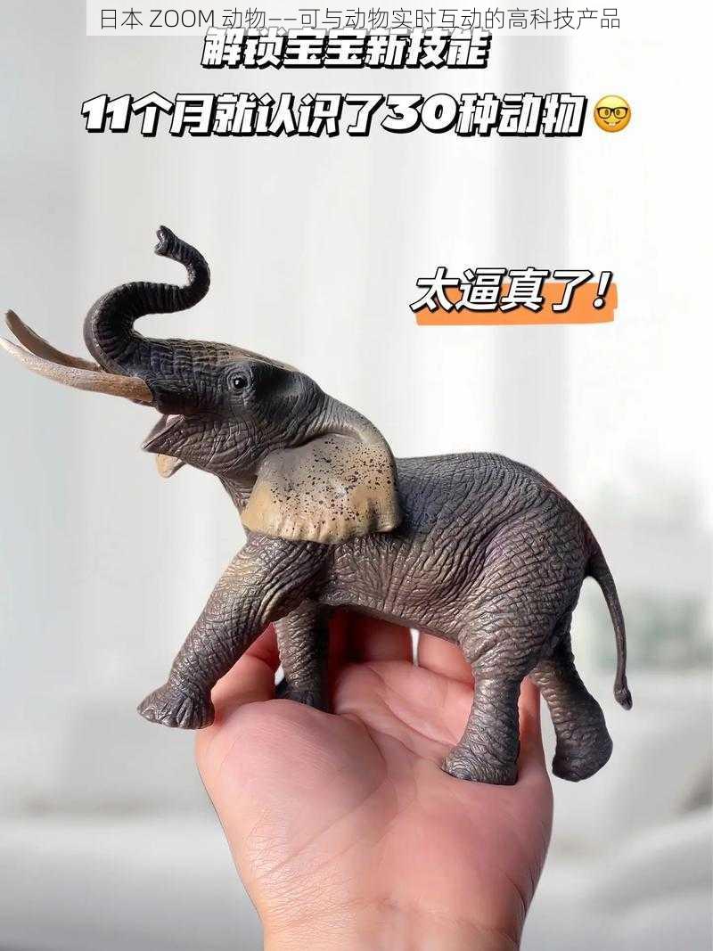 日本 ZOOM 动物——可与动物实时互动的高科技产品