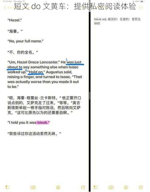 短文 do 文黄车:提供私密阅读体验