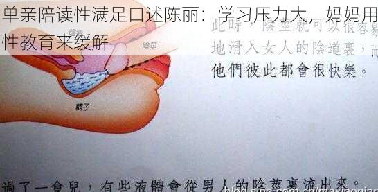 单亲陪读性满足口述陈丽:学习压力大,妈妈用性教育来缓解