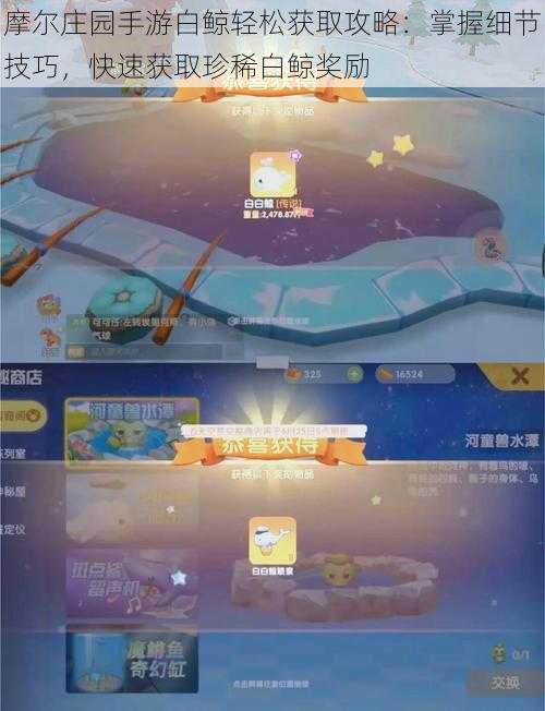 摩尔庄园手游白鲸轻松获取攻略:掌握细节技巧,快速获取珍稀白鲸奖励