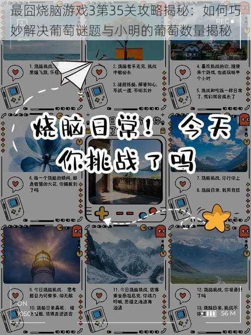 最囧烧脑游戏3第35关攻略揭秘:如何巧妙解决葡萄谜题与小明的葡萄数量揭秘