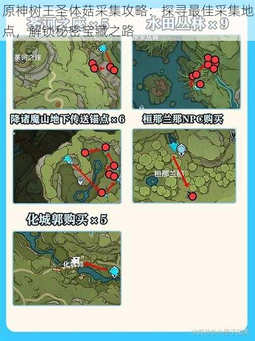 原神树王圣体菇采集攻略:探寻最佳采集地点,解锁秘密宝藏之路